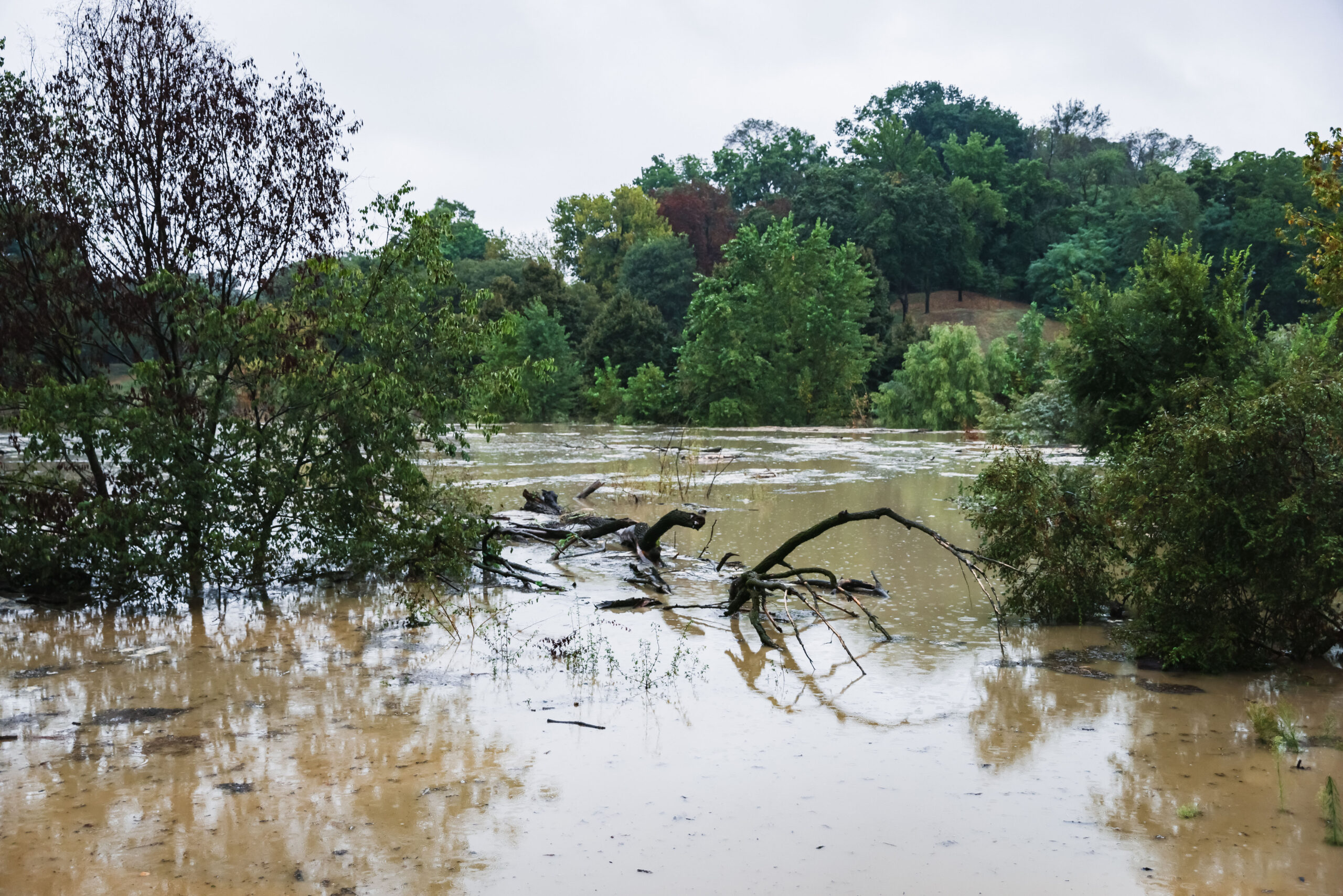 Il secolo dell’emergenza: i rischi ambientali che cambieranno il volto della Terra