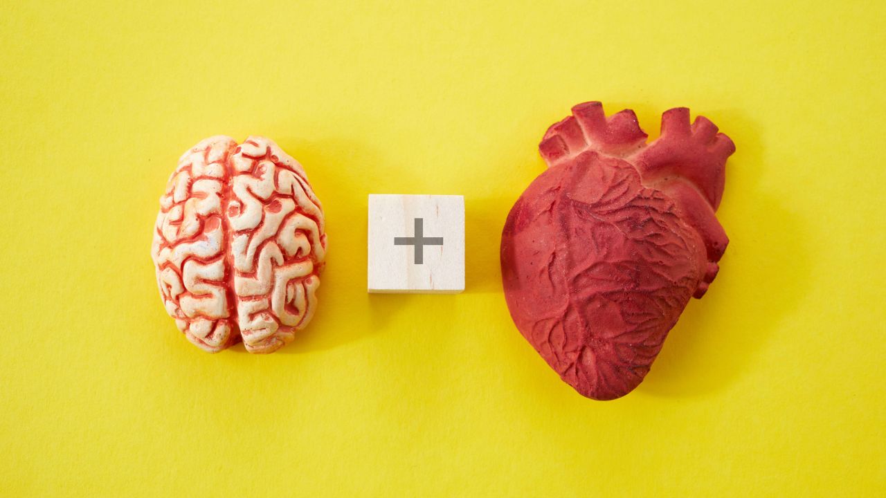 Svelato il legame dell’asse cuore-cervello