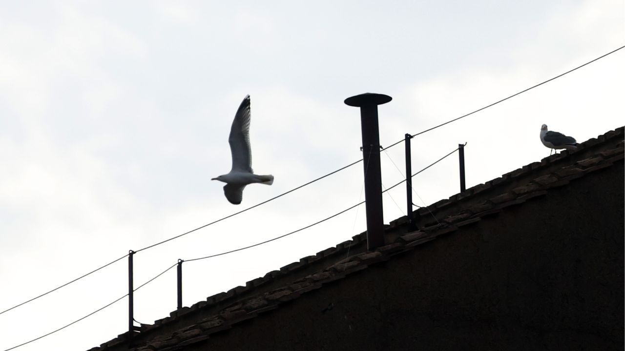Conclave, prima fumata attesa non prima delle 19