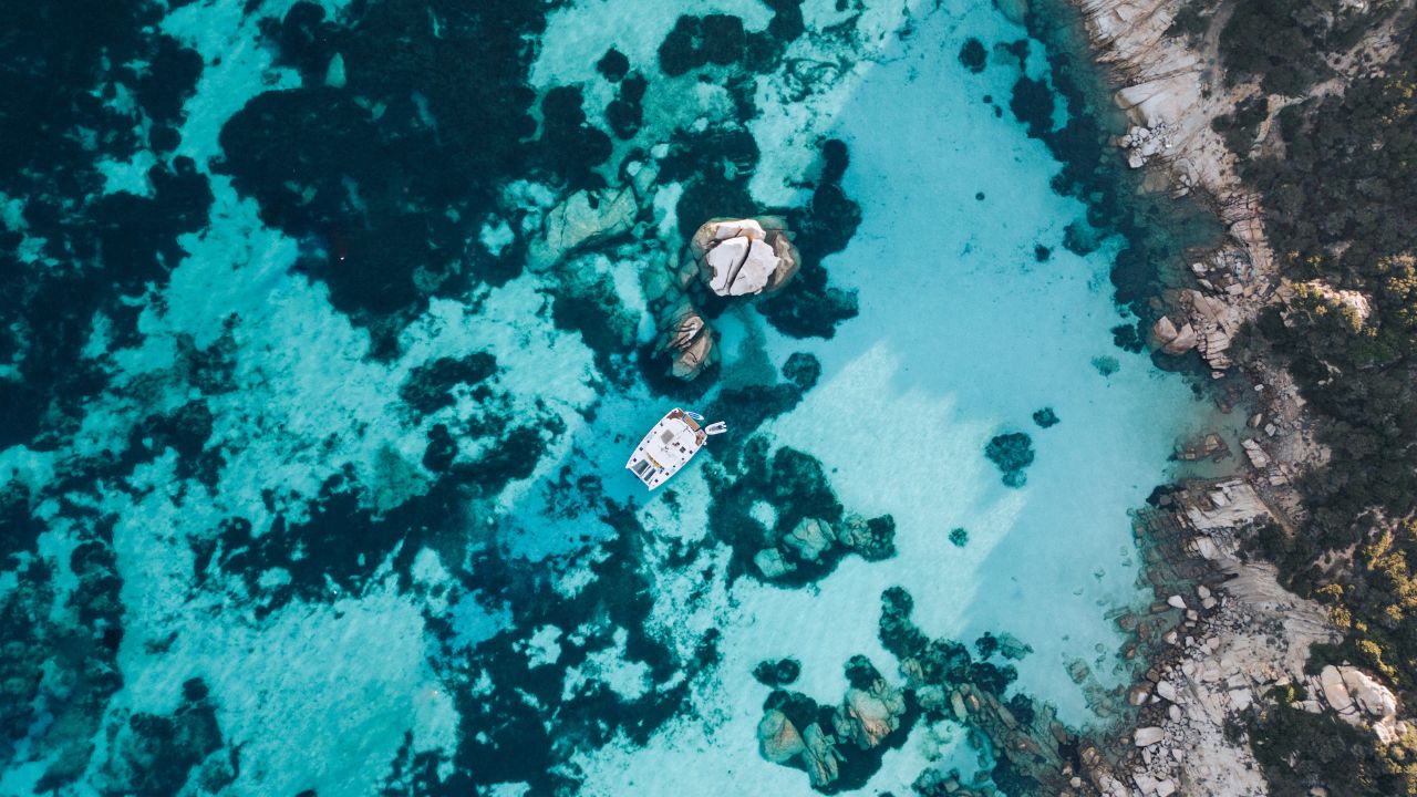 La guerra dei dazi non affonda il turismo in Italia: mare e città prese d’assalto dagli americani