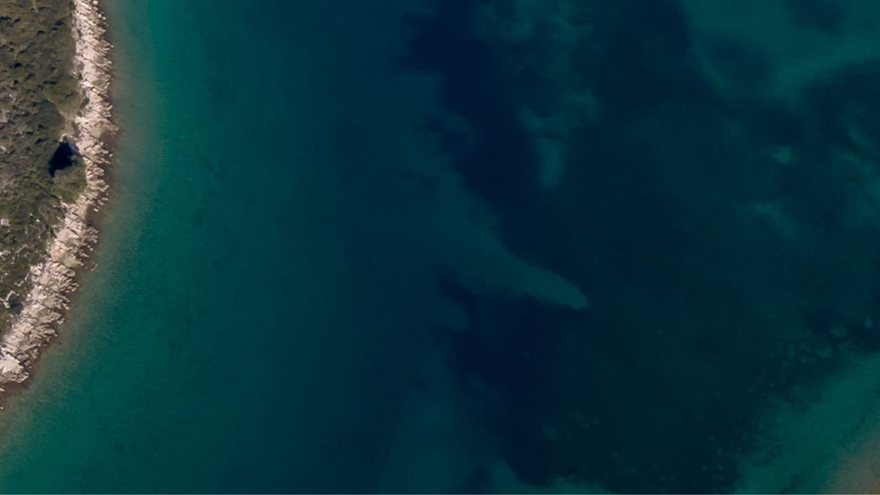 Adriatico verde: nuova fioritura algale documentata dai satelliti