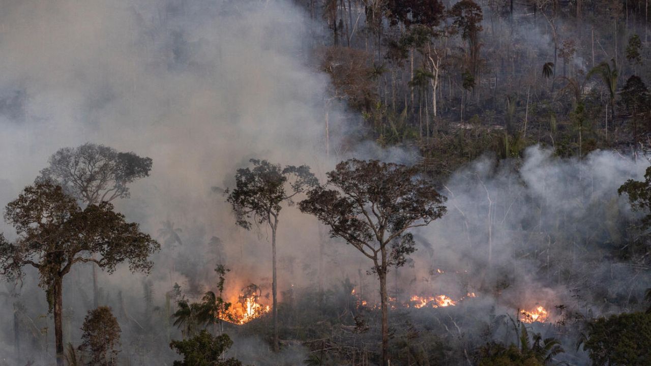 Amazzonia, deforestazione in aumento: +4% in un anno