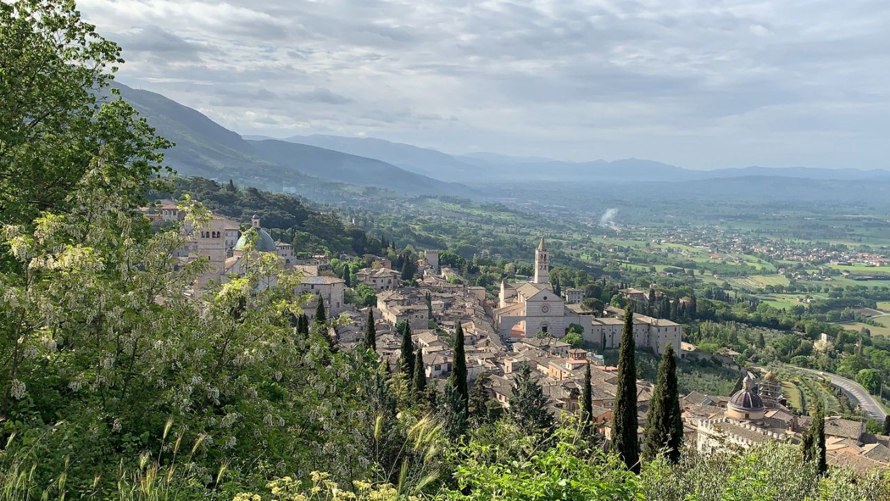 Assisi, Festival delle Creature – Iª edizione: 8 e 9 ottobre 2025 due giorni di confronto e riflessione pubblica sul rapporto tra umanità e altri animali