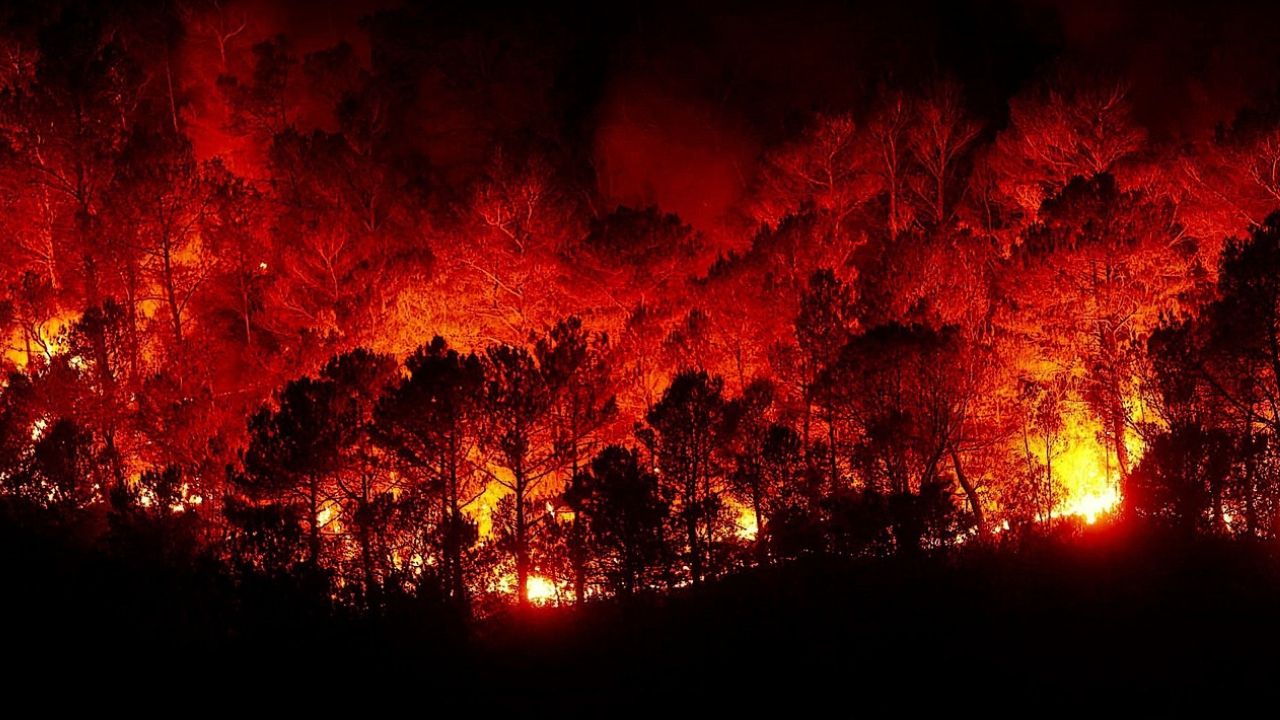 Clima: ogni anno a fuoco il 3% delle terre emerse. Il 2025 è peggio del 2024, ma in Italia la tecnologia per reagire c’è