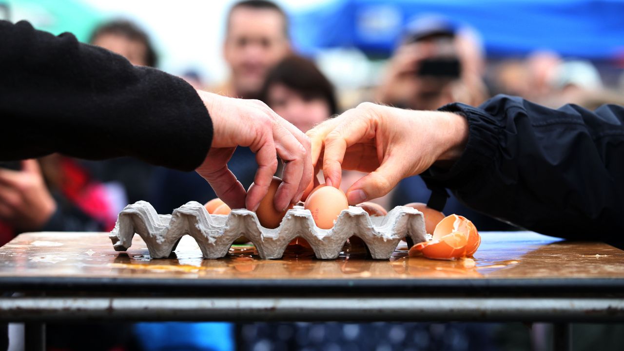 World Egg Day: Animal Equality chiede al Governo italiano di fermare la strage dei pulcini maschi