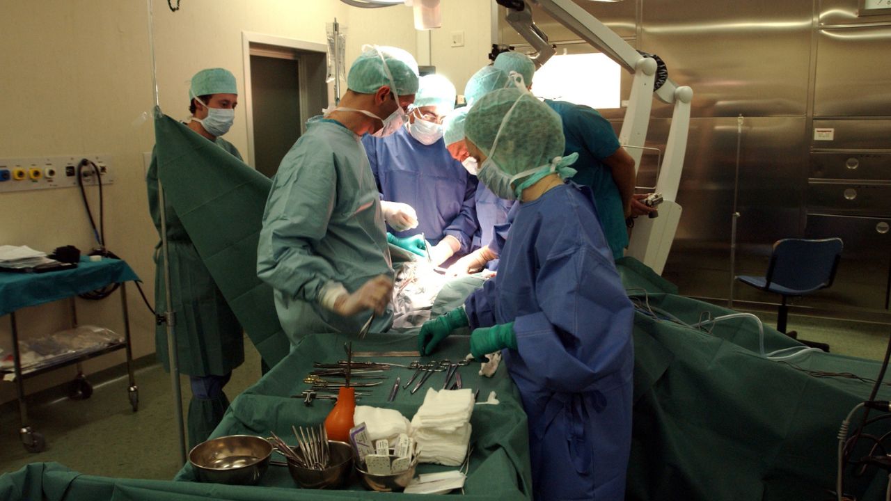 Trapianto di cuore in Italia: 40 anni dal primo intervento. Oggi il Paese è tra i leader mondiali