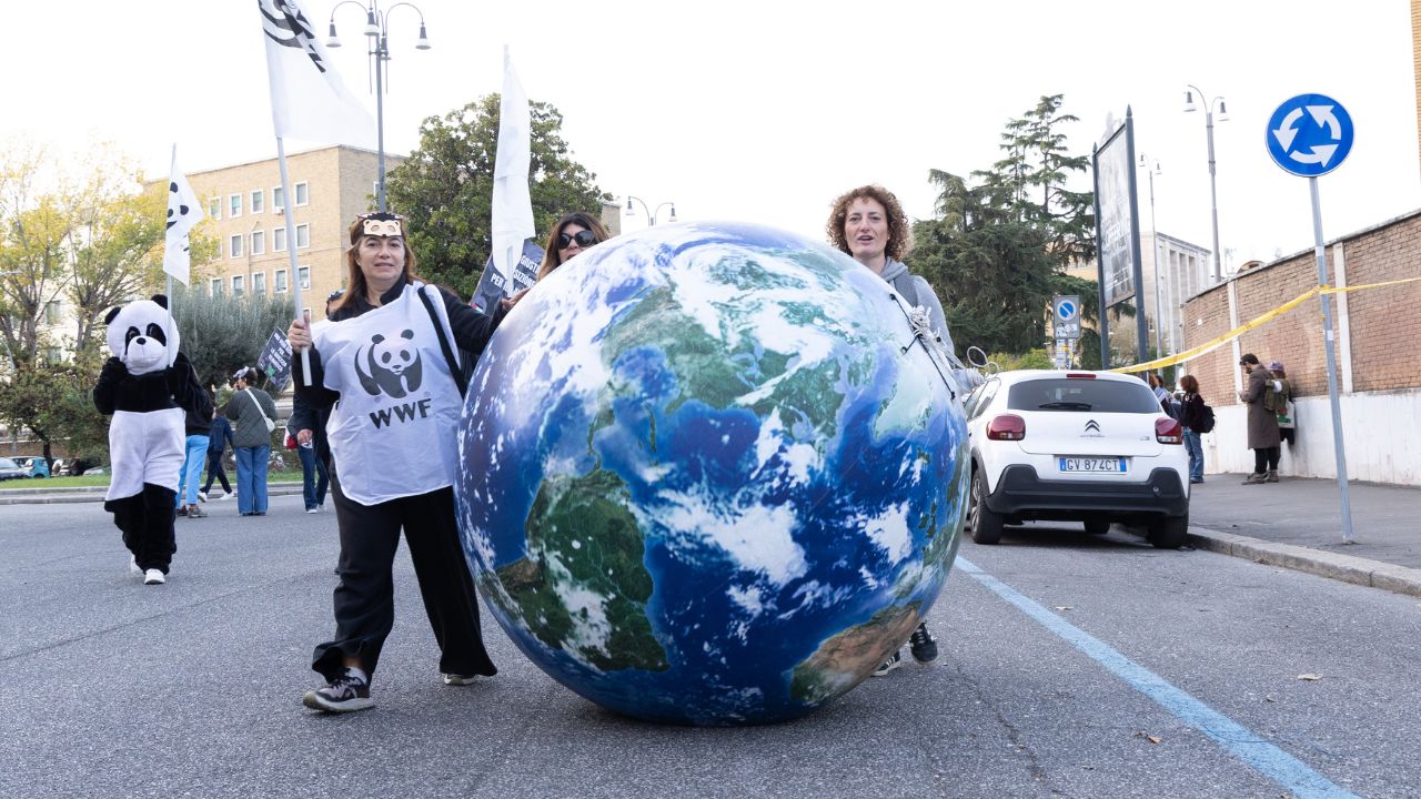 L’Italia scivola al 46esimo posto nella classifica globale delle performance climatiche, perdendo tre posizioni in un solo anno