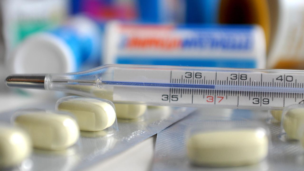 Influenza, nella regione Europea è in anticipo di 4 settimane