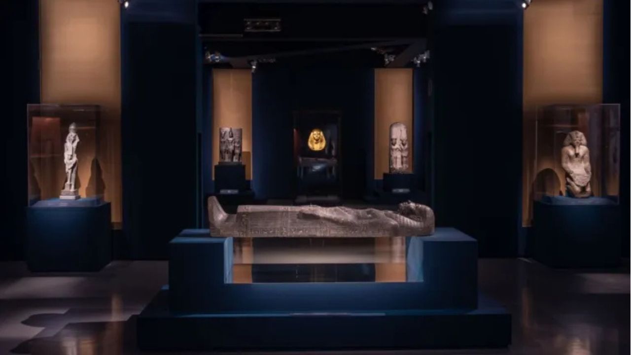 Faraoni, grattacieli e animali: tre mostre da vedere a Roma durante le feste natalizie