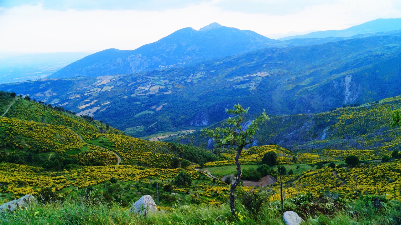 Extralberghiero in Calabria, la Federazione FARE arriva in Riviera dei Cedri: sinergia con Visit Papasidero