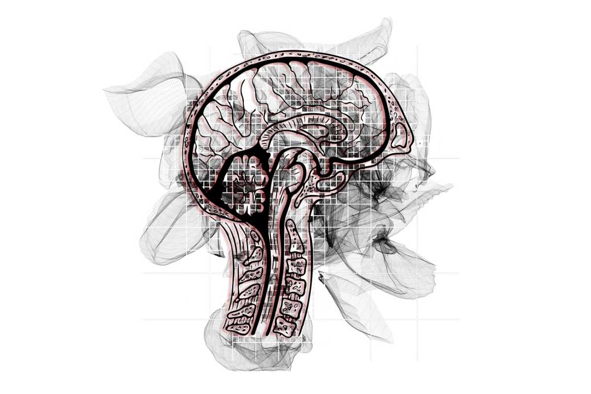 Alzheimer, svolta nella diagnosi precoce: il test che predice il rischio con il 93% di precisione