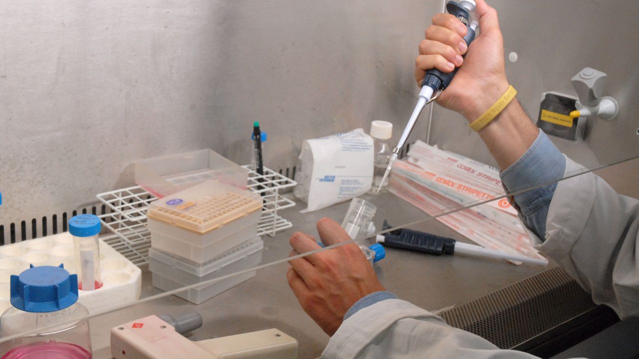 Celiachia, l’allarme in Italia: 280mila diagnosi, ma altri 300mila malati “non sanno di esserlo”