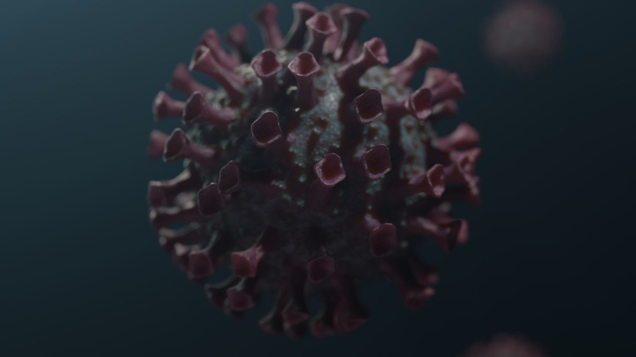 Hantavirus sulla nave Hondius, il comandante rassicurò tutti: “Non è contagioso”. Ma per 21 giorni gli allarmi sono rimasti sottovalutati