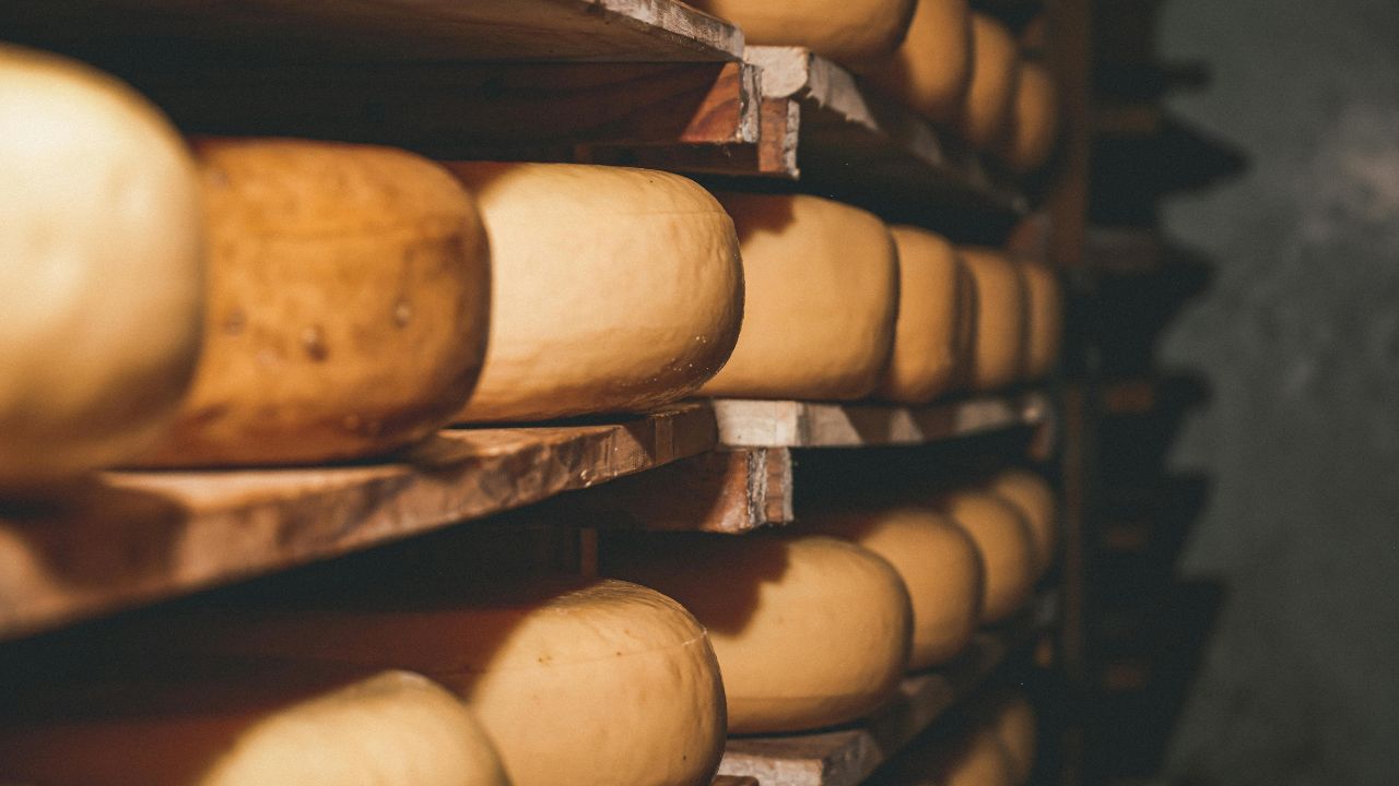 Formaggi italiani, il made in Italy corre all’estero: export da record nonostante dazi, crisi globali e ostacoli sui mercati