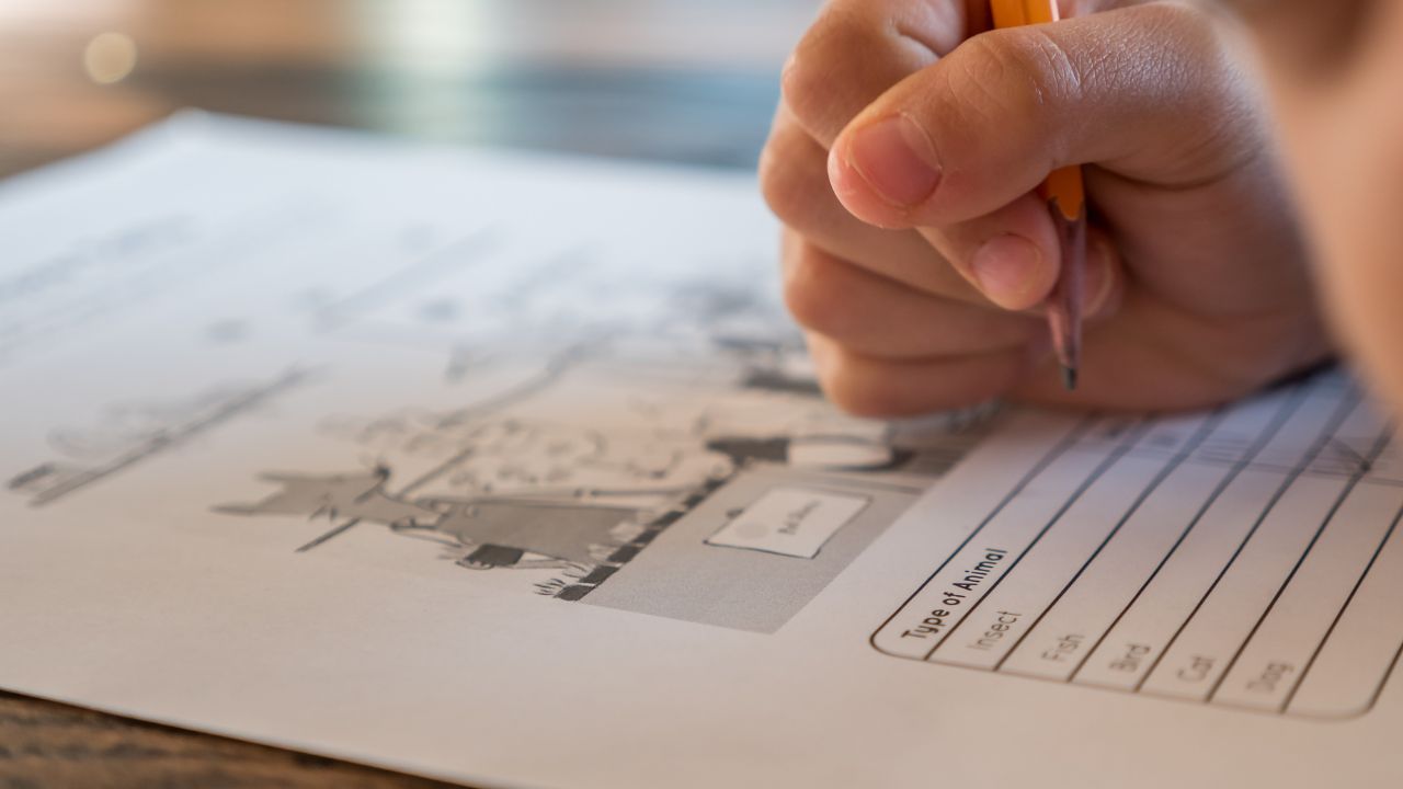 Germania, l’AfD vuole disabili e migranti fuori dalle classi: scuole separate, inno obbligatorio e homeschooling nel programma