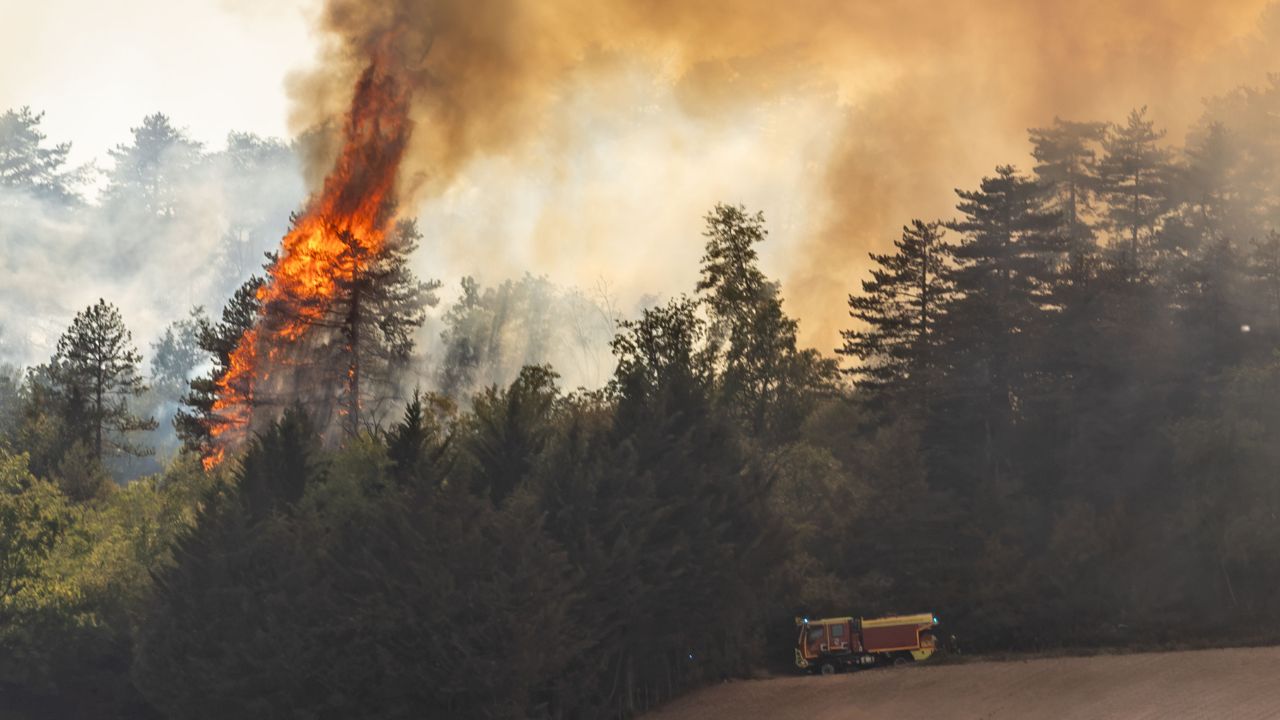 Europa in fiamme, l’inferno avanza verso Italia, Grecia e Centro Europa: caldo estremo e incendi pronti a divorare il continente