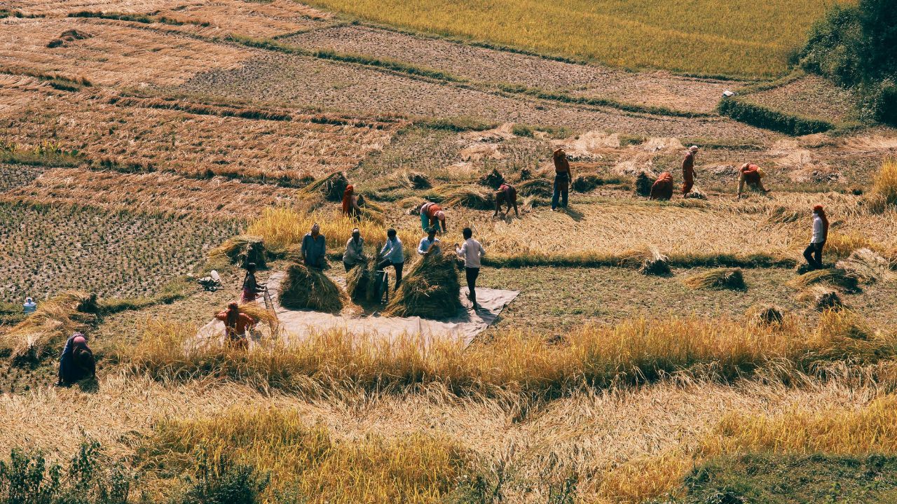 Lotta al caporalato, controlli a tappeto e denunce in decine di aziende agricole