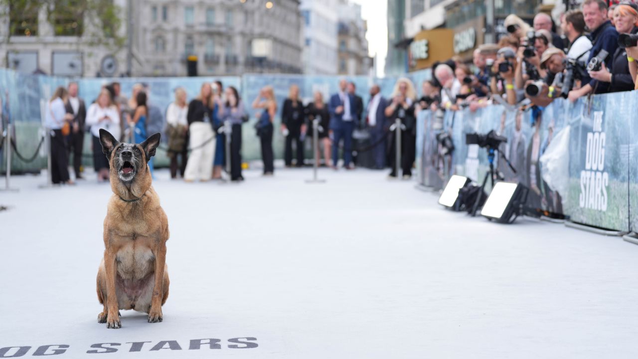 Raksha, la Malinois italiana che ha fatto innamorare Jacob Elordi e gli ha “rubato” il red carpet