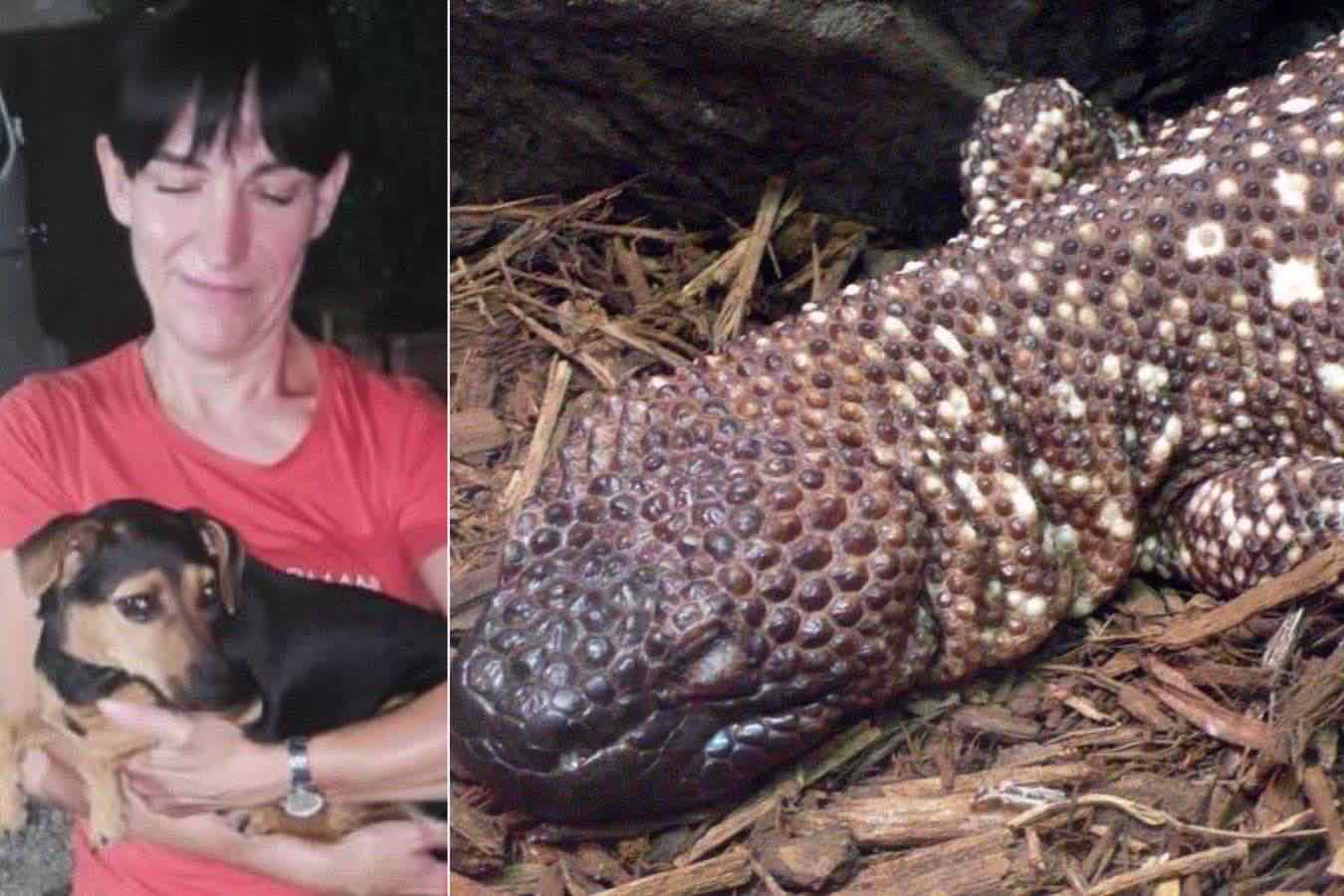 Fiuto da segugio per la cagnolina Stella: catturata la lucertola velenosa messicana