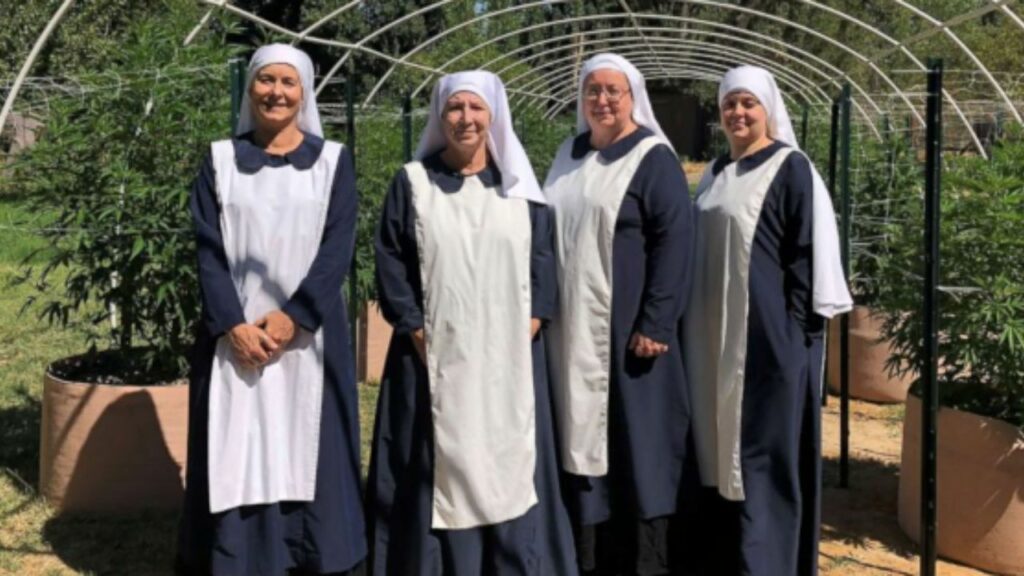 Sisters of Valley, coltivazioni di Marijuana